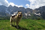 21 Dori scorazza in ispezione avanti e indietro